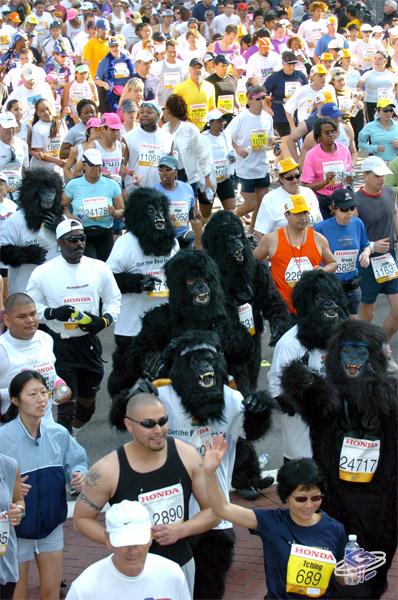 LA Marathon DK Jungle Beat - Damn dirty apes