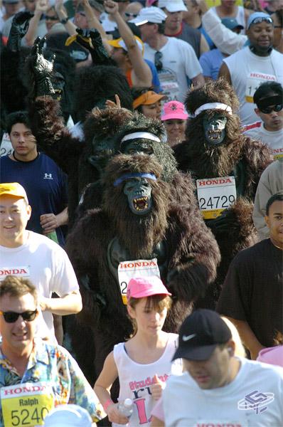 LA Marathon DK Jungle Beat - Run for your life!