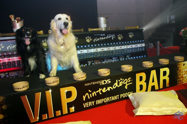 The Puppy Party VIP Bar