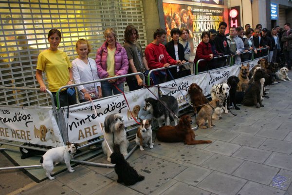 Humans and canines wait for the store opening